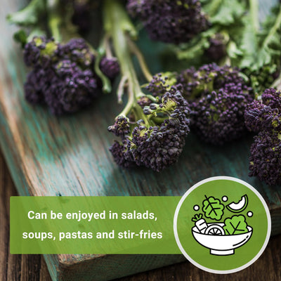 early purple sprouting broccoli seeds can be enjoyed in salads soups pastas and stir-fries