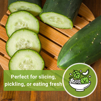 marketmore cucumber seeds perfect for slicing pickling or eating fresh