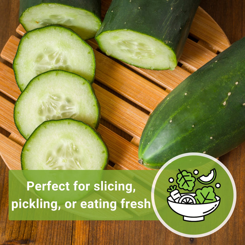 marketmore cucumber seeds perfect for slicing pickling or eating fresh