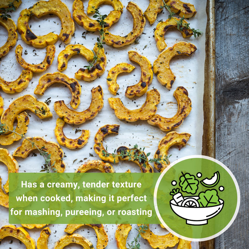 delicata winter squash seeds has a creamy tender texture when cooked making it perfect for mashing pureeing or roasting