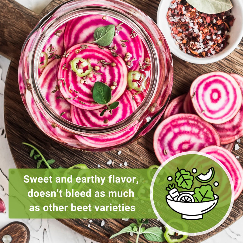 chioggia beet seeds sweet and earthy flavor doesn&