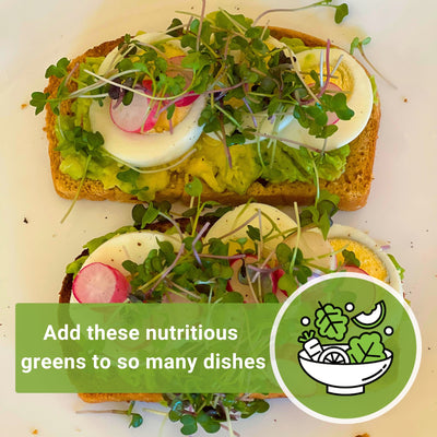 Bulk Superfood Microgreens Mix 1 Ounce Seeds