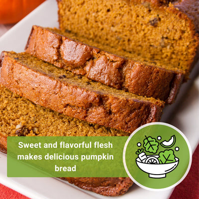 cinderella pumpkin seeds sweet and flavorful flesh makes delicious pumpkin bread