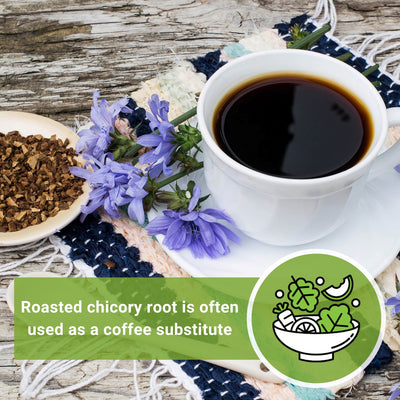 chicory seeds roasted chicory root is often used as a coffee substitute 