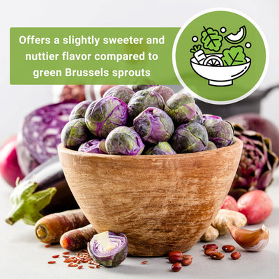 red brussels sprouts seeds offers a slightly sweeter and nuttier flavor compared to green brussels sprouts