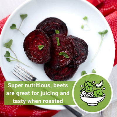 bulls blood beet super nutritious, beets are great for juicing and tasty when roasted