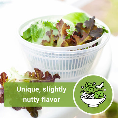 bronze arrow lettuce seeds unique slightly nutty flavor