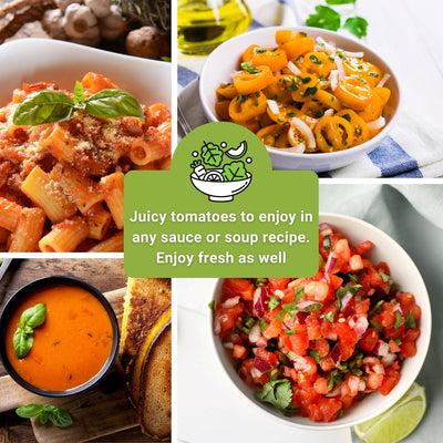 classic tomato collection juicy tomatoes to enjoy in any sauce or soup recipe, enjoy fresh as well