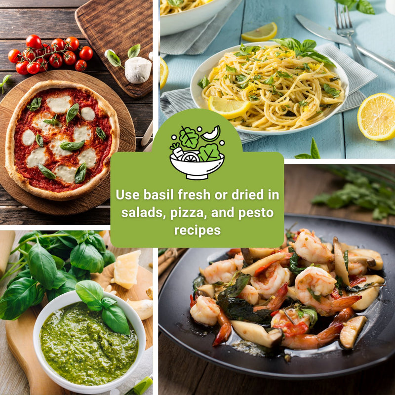 six basil seed collection collage use basil fresh or dried in salads pizza and pesto recipes