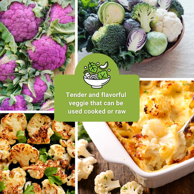 cauliflower seed collection tender and flavorful veggie that can be used cooked or raw