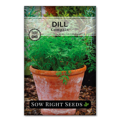 Compact Dill