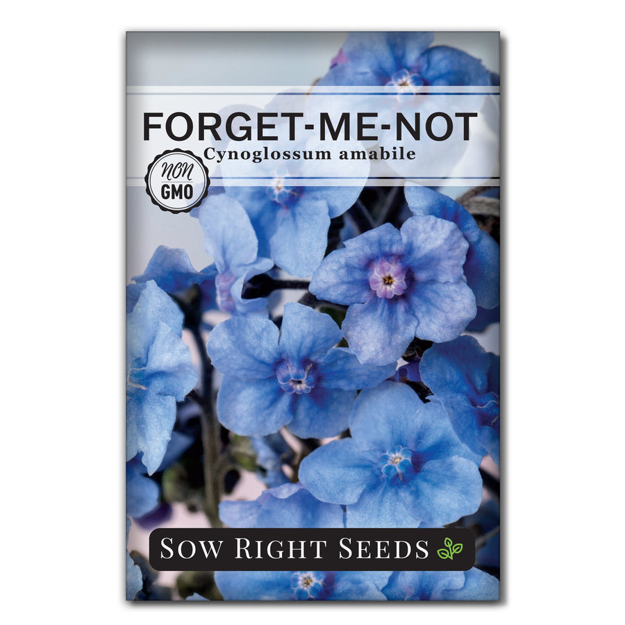 Forget-me-not Flower Seeds for Sale | Remembrance Flowers  Sow Right Seeds