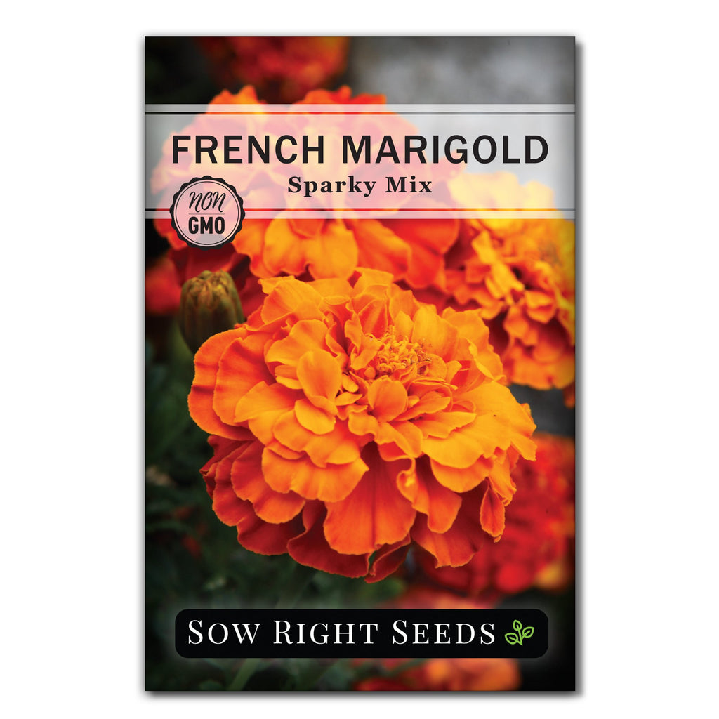 Sow Right Seeds Sparky Mix Marigold Seeds