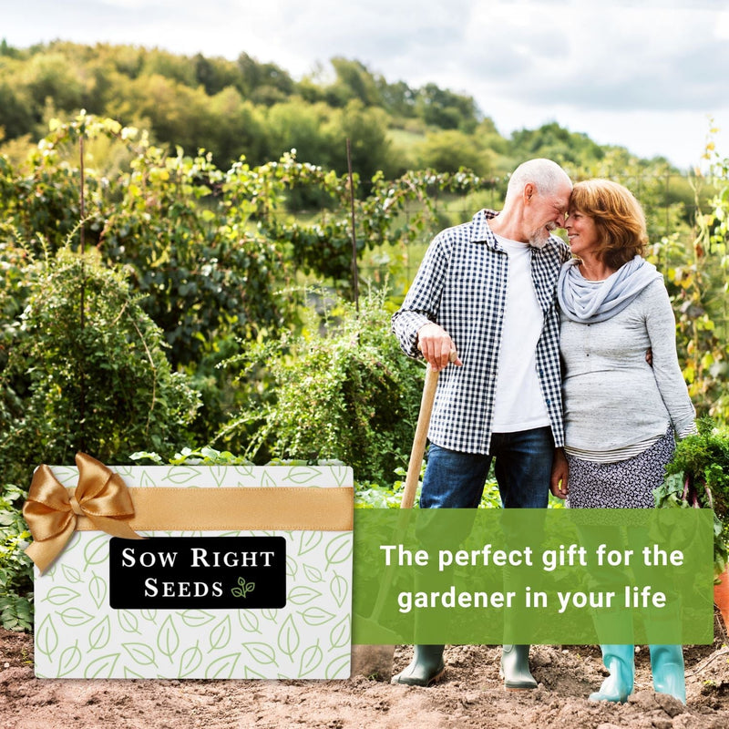 Give the gift of growing