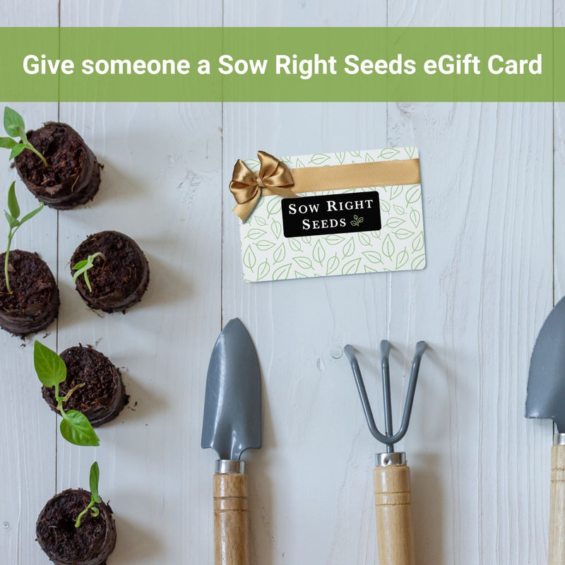 Give the gift of growing