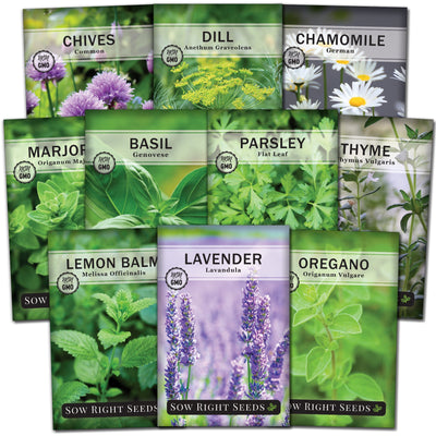 Ten Herb Collection