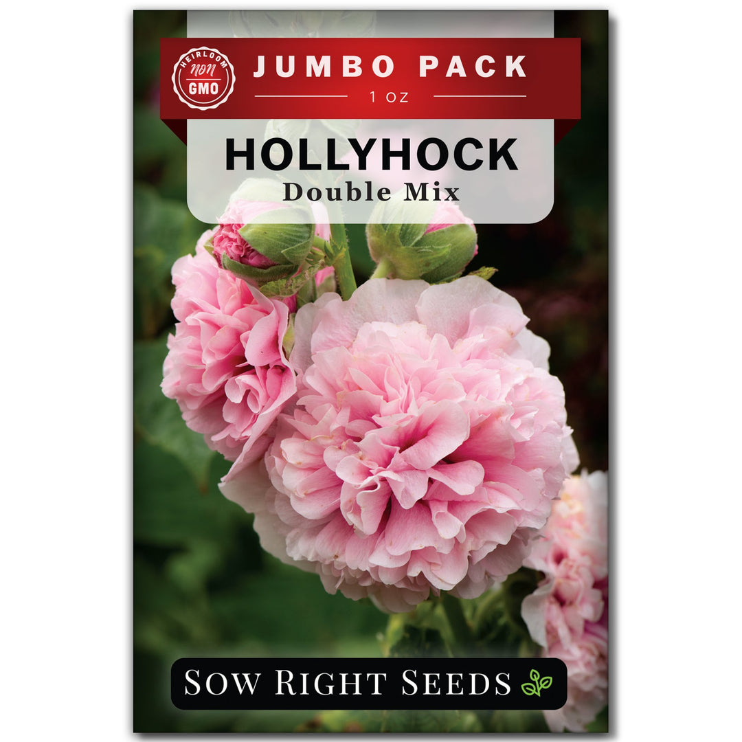 Double Flower Mixed Hollyhock