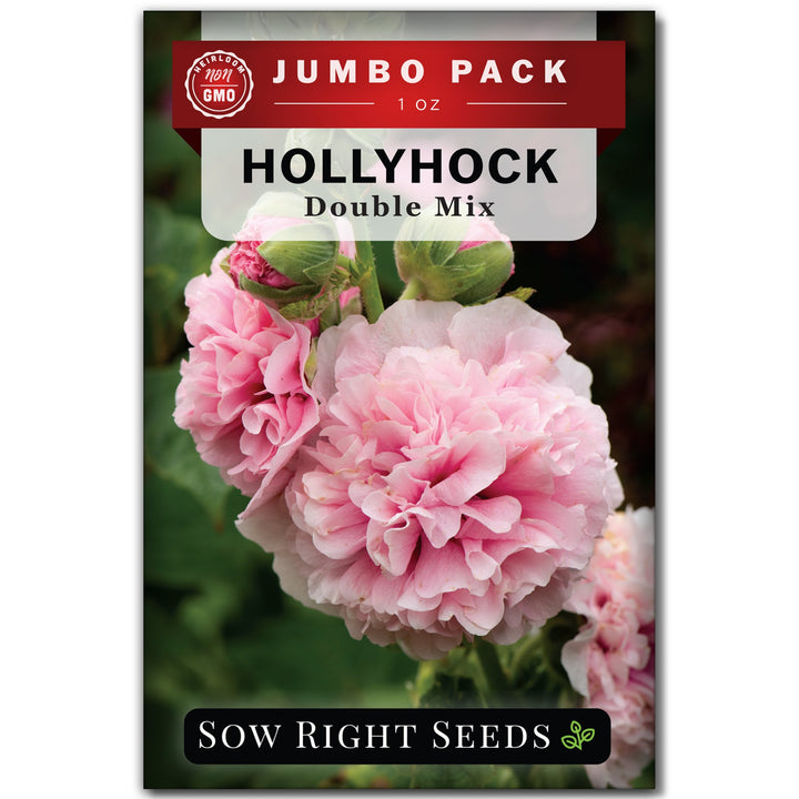plant hollyhock seeds Double Flower Mixed Hollyhock