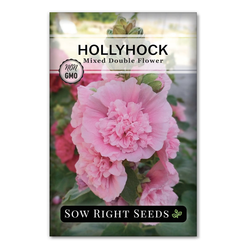 Double Flower Mixed Hollyhock