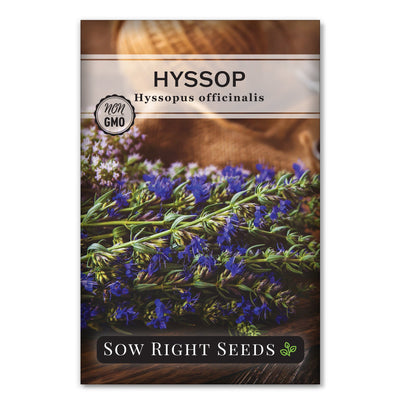 hyssop seed packet