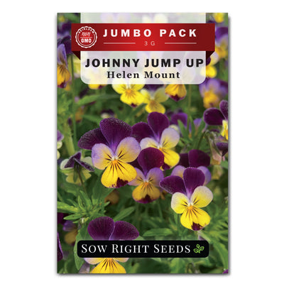 Johnny Jump-Up Violet
