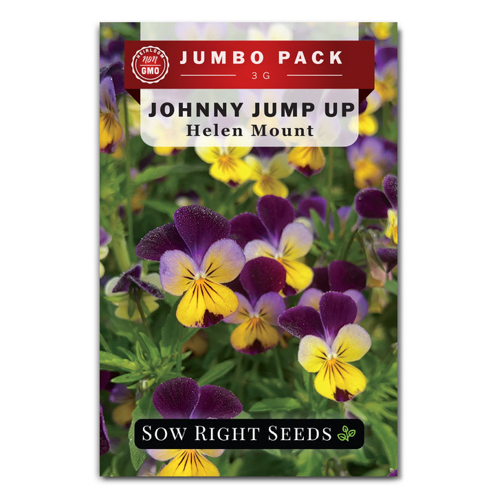 planting johnny jump up seeds Johnny Jump-Up Violet