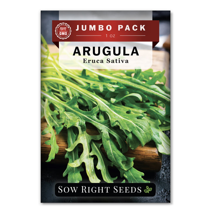 arugula plant seeds Arugula Seeds for Planting