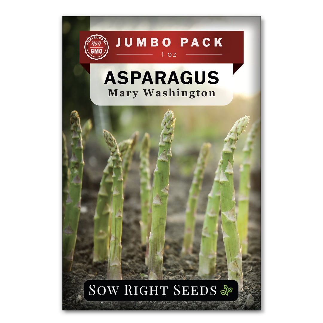 garden asparagus seeds Sow Right Seeds - Mary Washington Asparagus Seed for Planting
