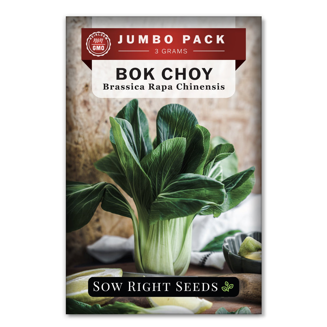Pak Choi al forno: il cavolo cinese che piace molto Pak Choi al forno: il cavolo cinese che piace molto