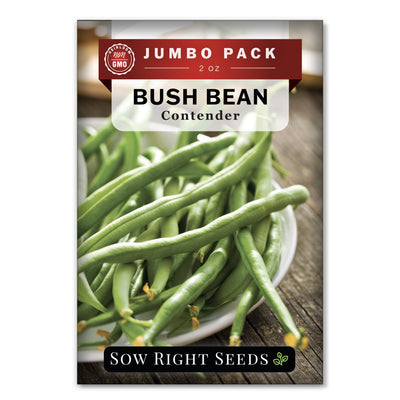 Bulk Contender Bush Bean 2 Ounce