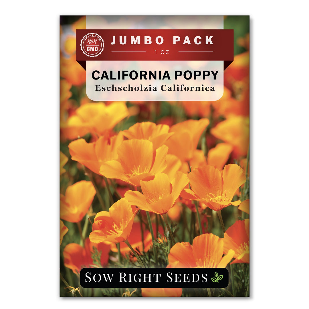 buy poppy seeds to plant California Poppy Seeds for Planting
