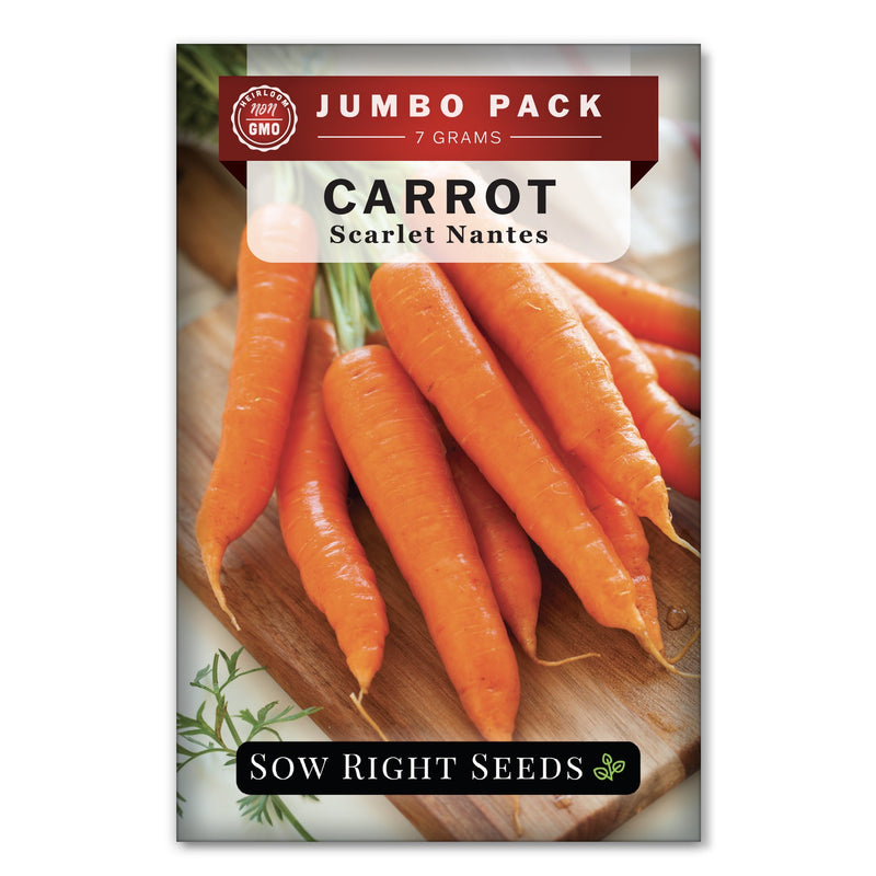 Bulk Scarlet Nantes Carrot 7 Grams