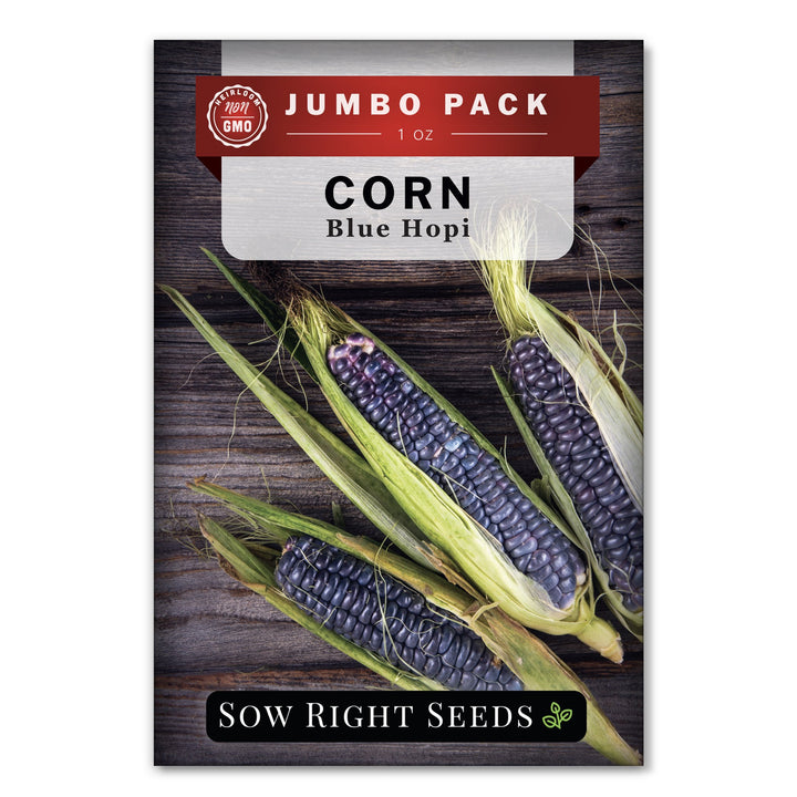 blue corn seeds for planting Blue Hopi Corn Seeds