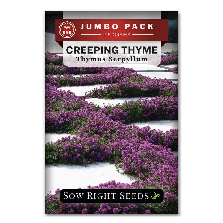 thyme garden seed company Creeping Thyme