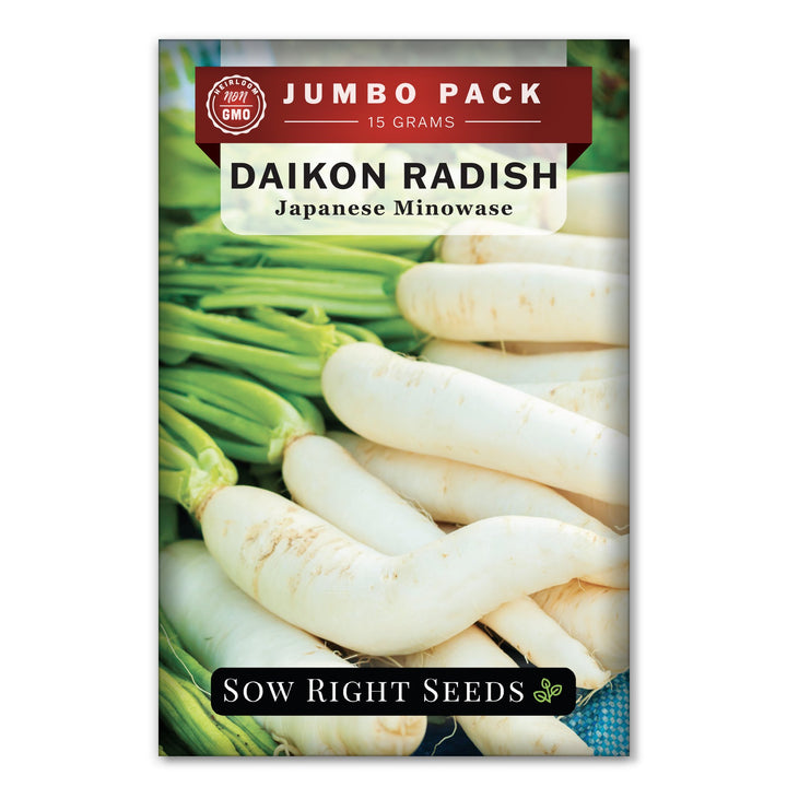 Japanese Minowase Daikon Radish Seeds for Planting | Easy to Grow