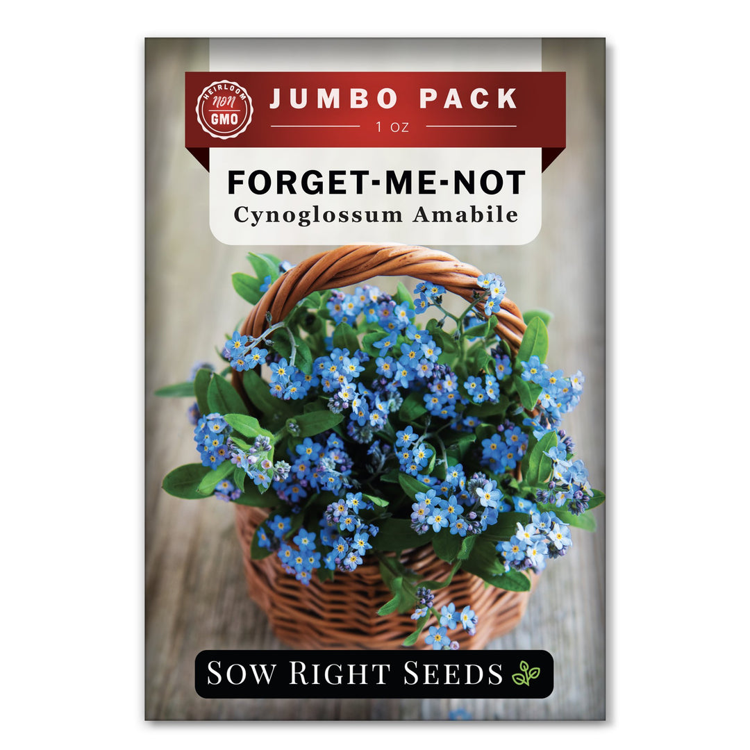 forget me not plant pot Sow Right Seeds Forget me not Seeds Flower Seeds, Non-GMO Heirloom Varieties