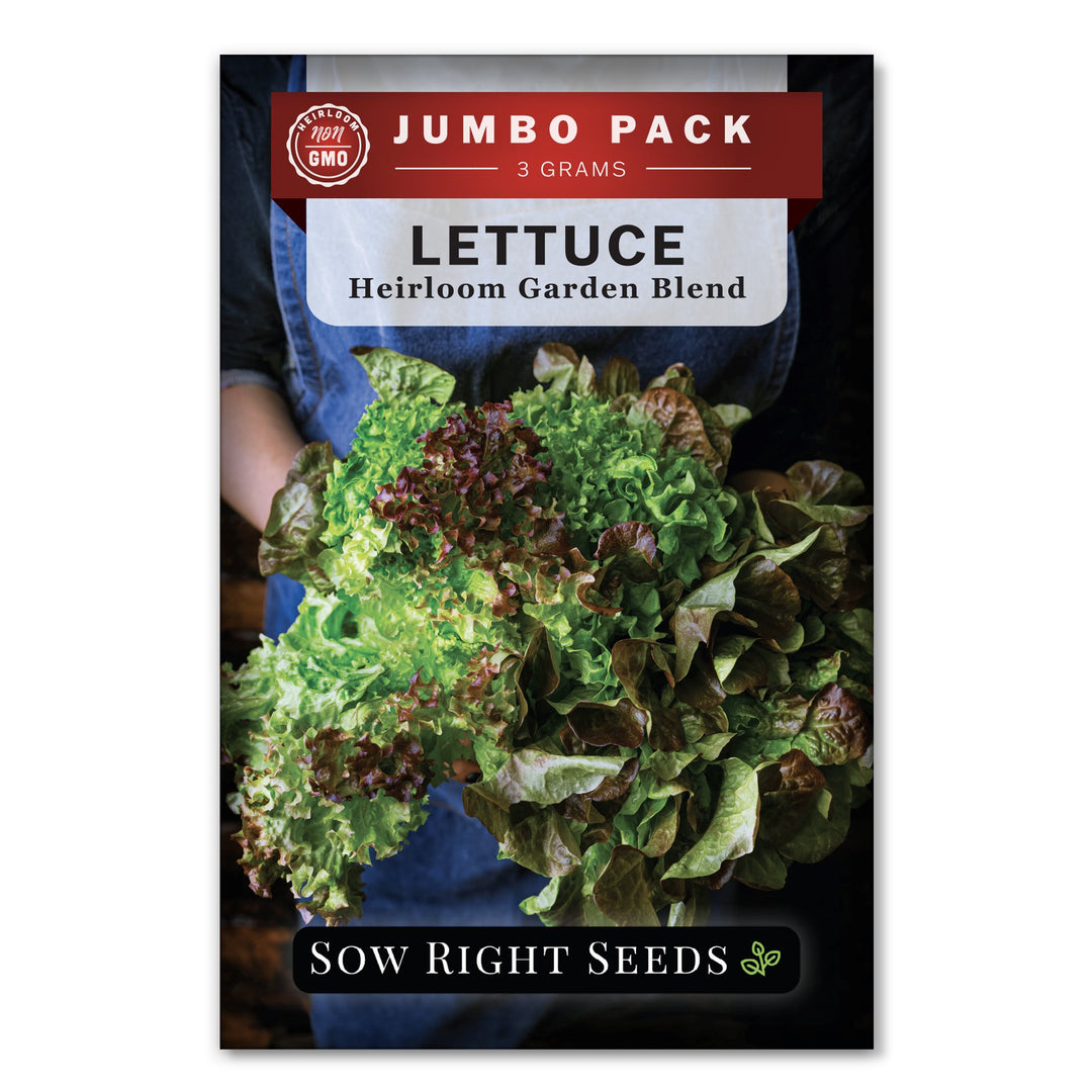 garden lettuce seeds Heirloom Blend Lettuce Seeds for Planting