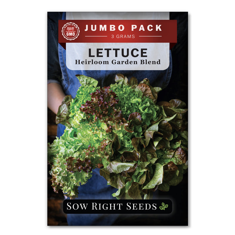 Bulk Heirloom Blend Lettuce 3 Grams
