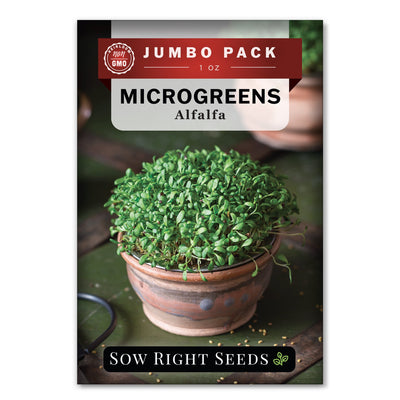 Bulk Microgreens Alfalfa 1 Ounce