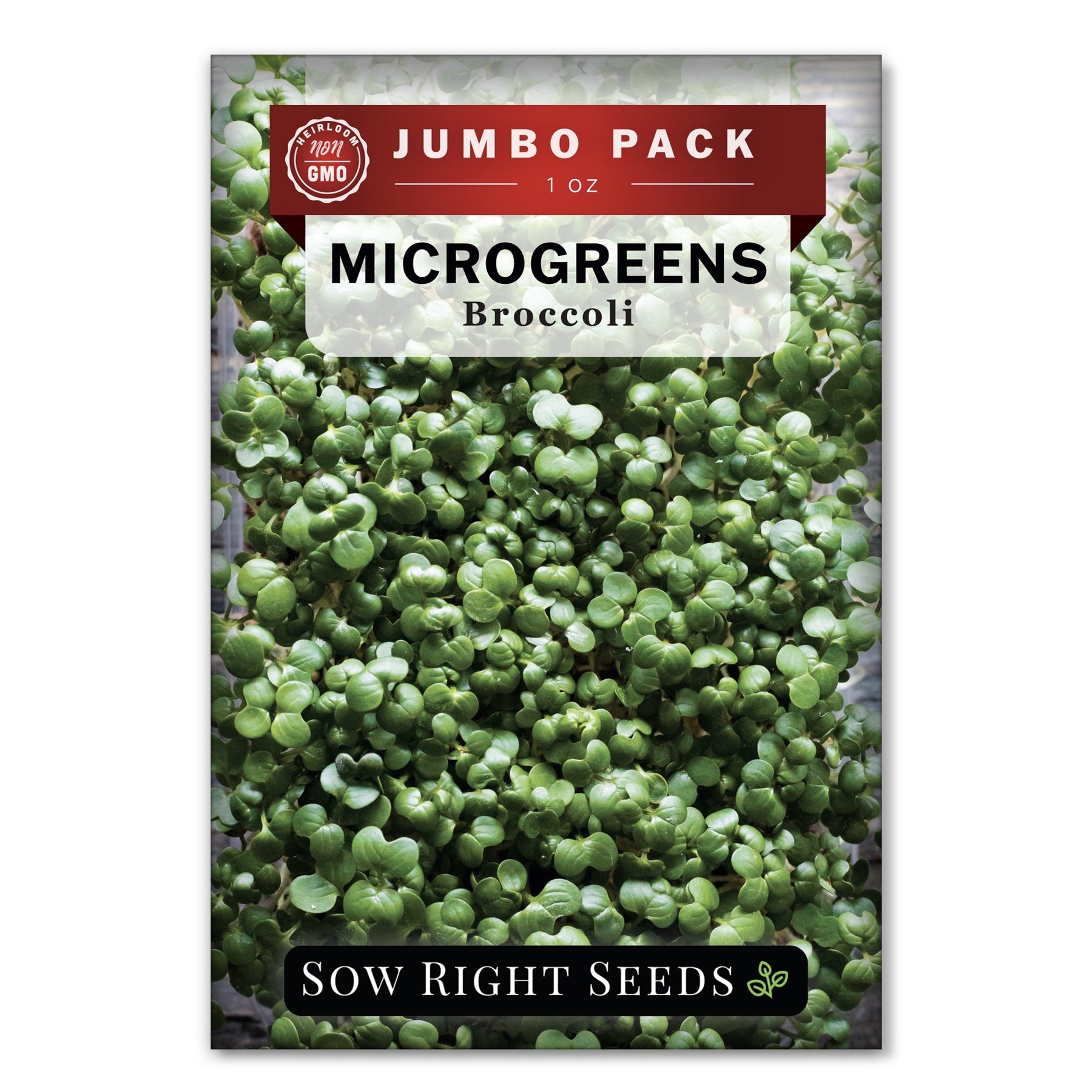 18+ Microgreen Broccoli Seeds Broccoli Microgreen Seeds for Sprouting | Easy to Grow Anytime – Sow