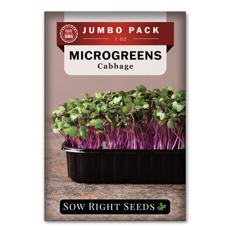 Bulk Microgreens Cabbage 1 Ounce