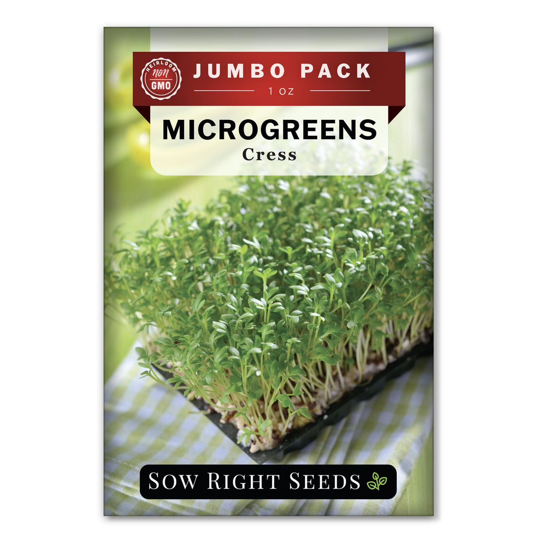 Cress Microgreen Seeds for Sprouting