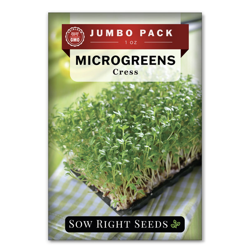 Bulk Microgreens Cress 1 Ounce