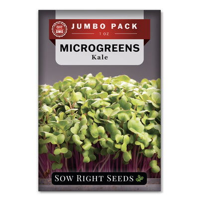 Bulk Microgreens Kale 1 Ounce