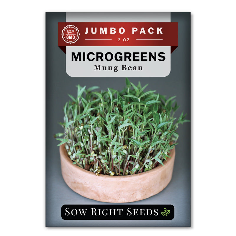 Bulk Microgreens Bean 2 Ounce