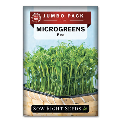 Bulk Microgreens Pea 2 Ounce