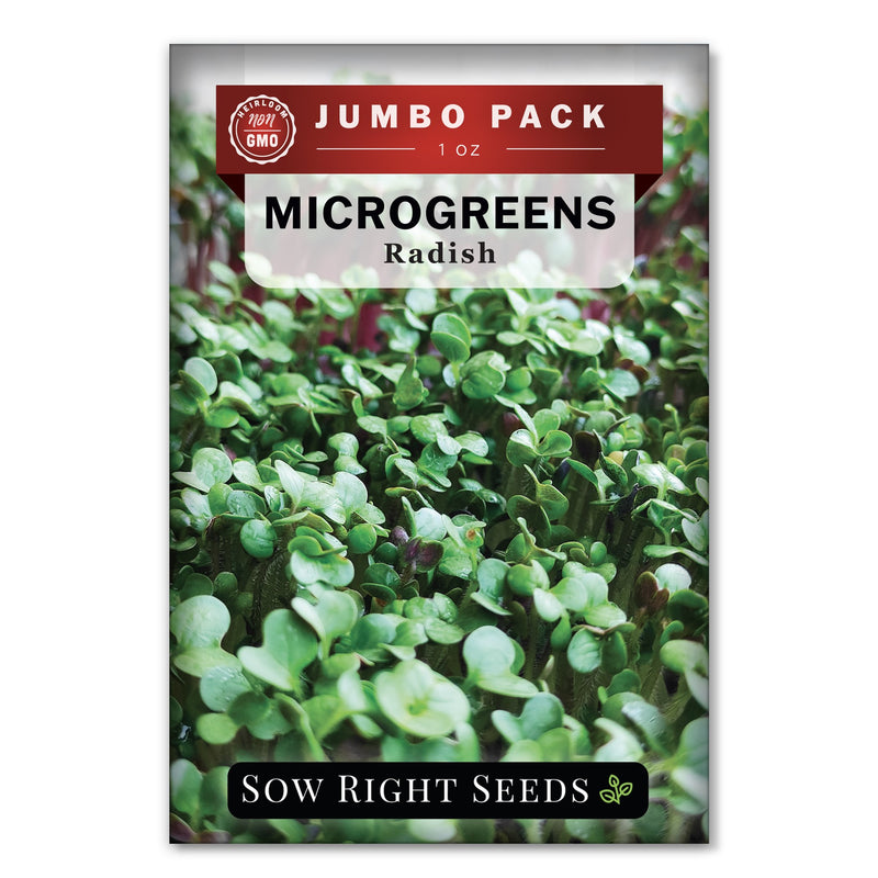 Bulk Microgreens Radish 1 Ounce