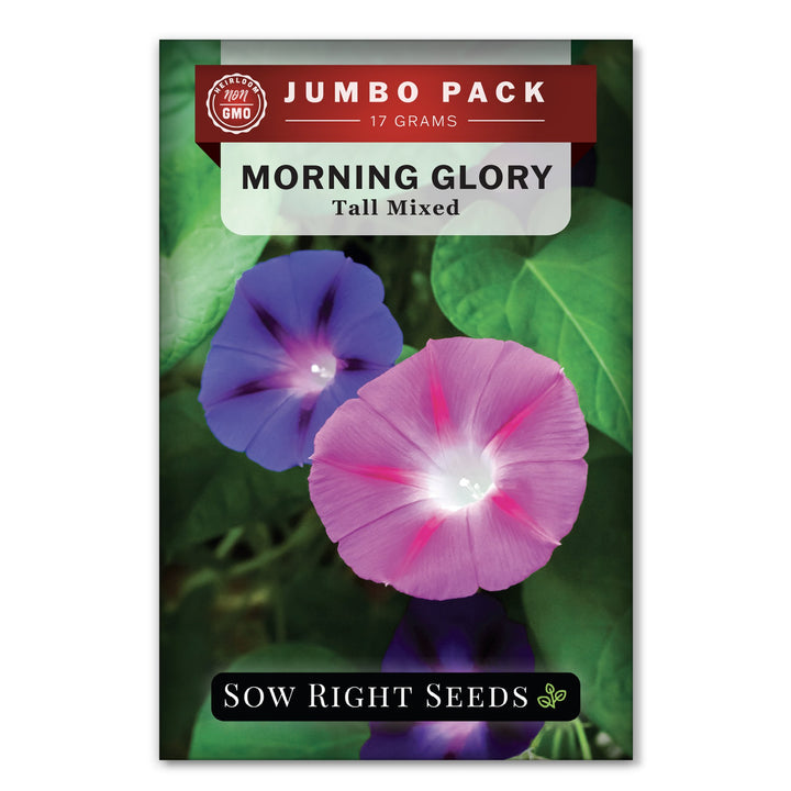 Tall Mixed Morning Glory Seeds | Vining Beauty for Planting – Sow