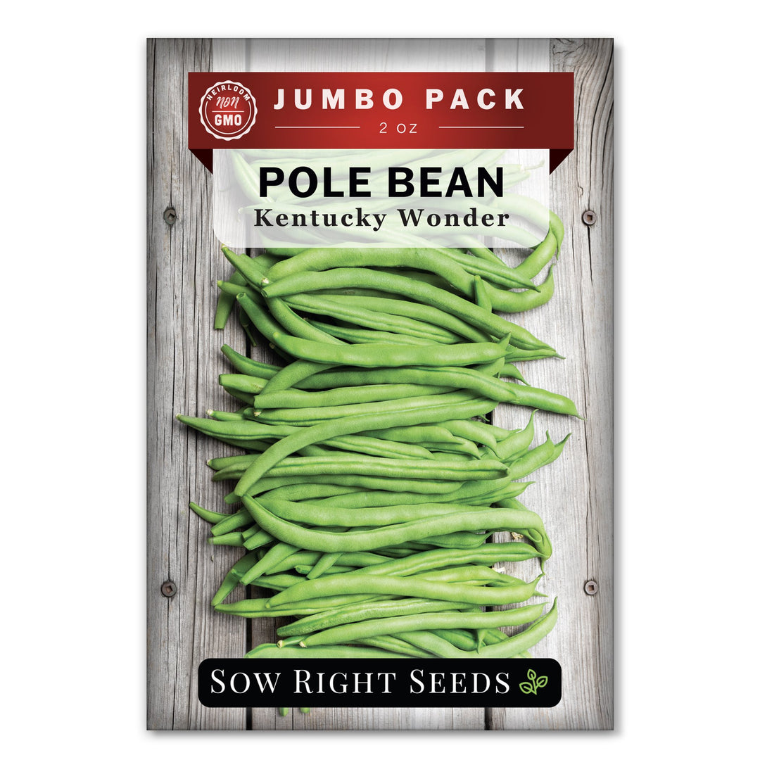 Kentucky Wonder Pole Bean | Trellis Green Bean for Planting – Sow