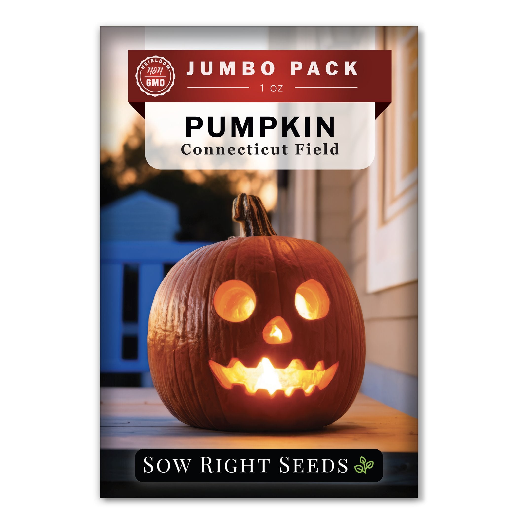 Bulk Connecticut Field Pumpkin Seeds to Plant American Classic Sow